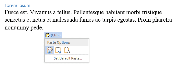 Paste Options