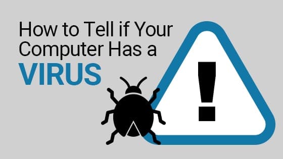 Virus in a computer