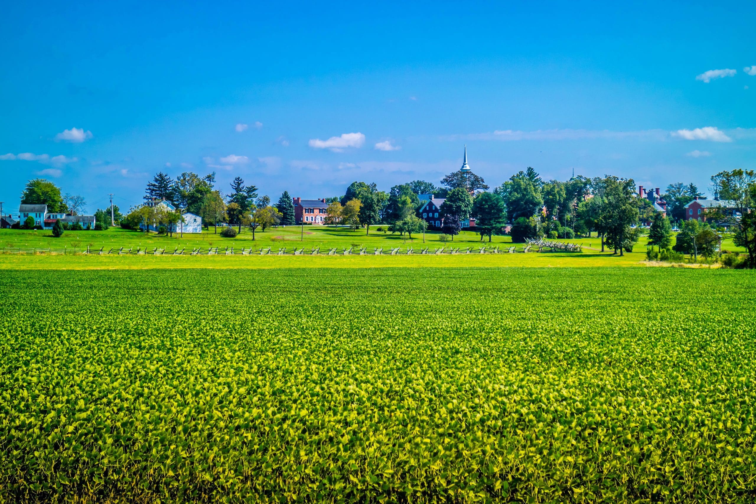 farm fields panorama