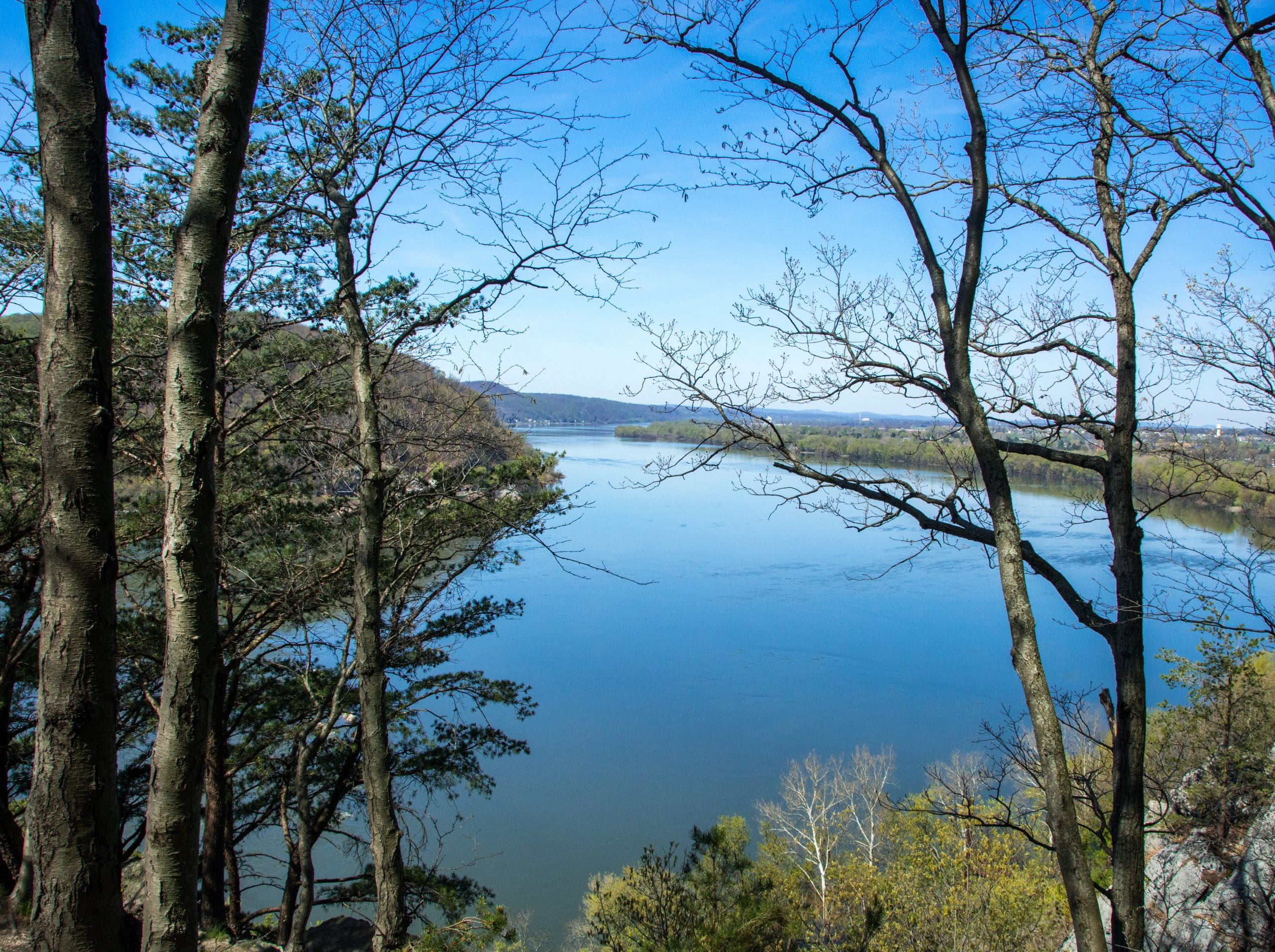 A view of the Susquehanna River