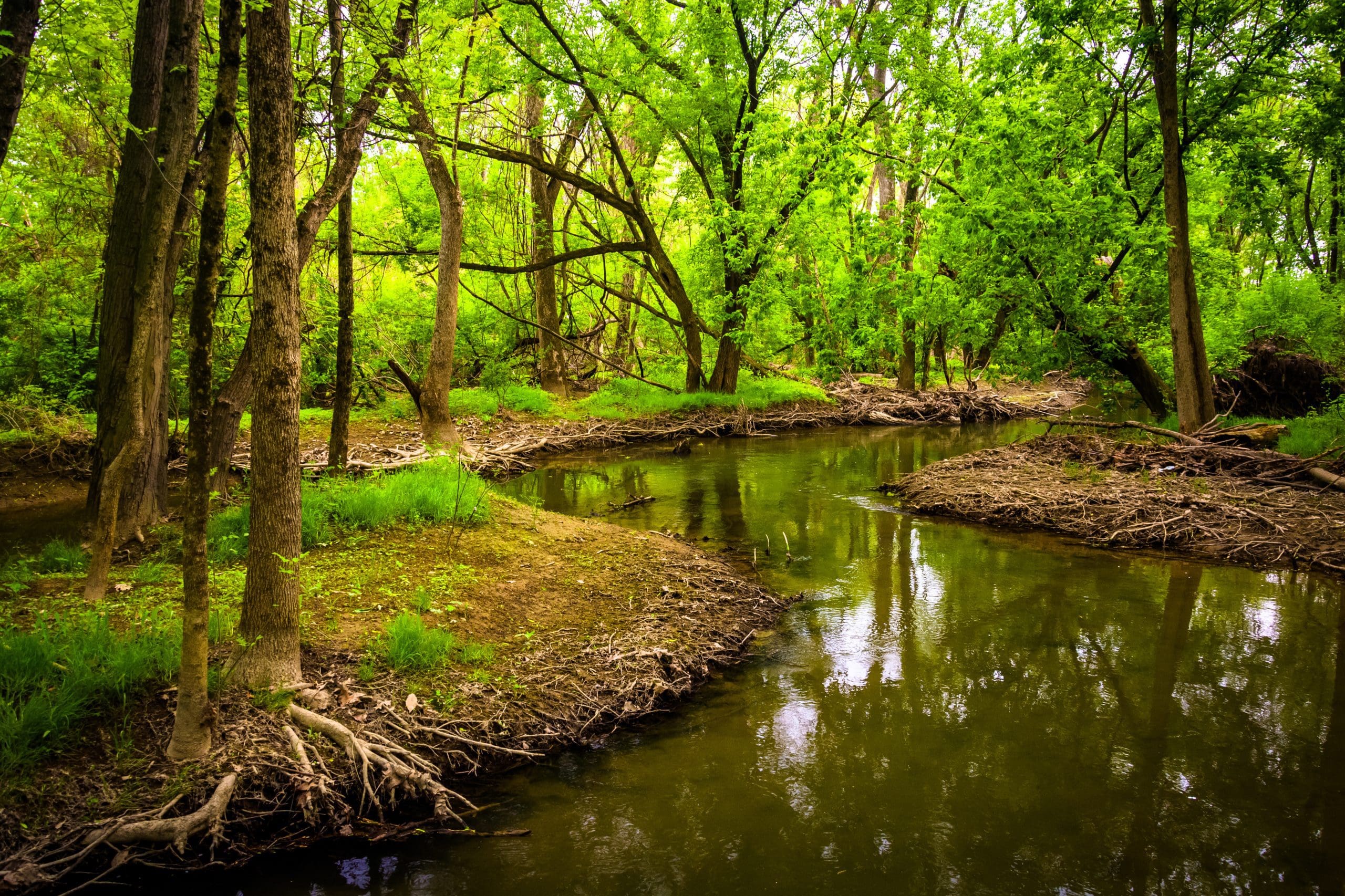 Stream at Wildwood Park, in Harrisburg, Pennsylvania